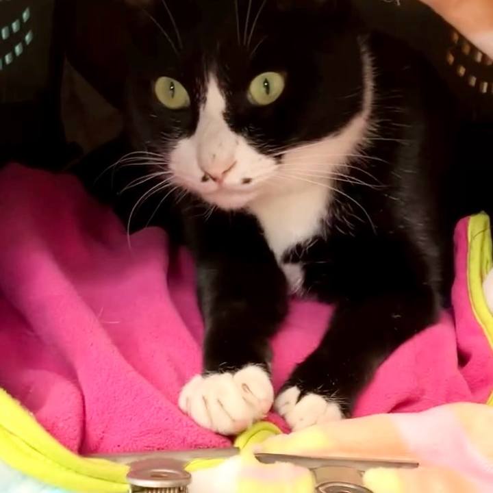 632cfb0c 070d 4bc3 b4d0 7e852c7da5fc 1733805198862