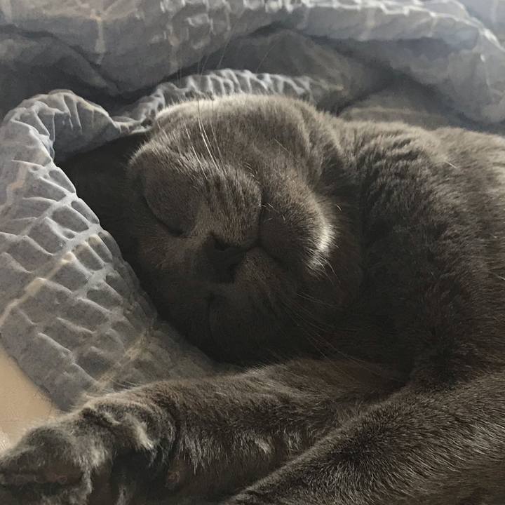 632d0566 79e8 460e bbe8 c6aa6042ef78 1565567431616