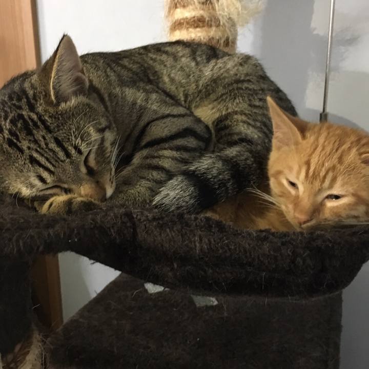 632d31b5 945b 4609 8ff1 173c85f5995e 1510911628163