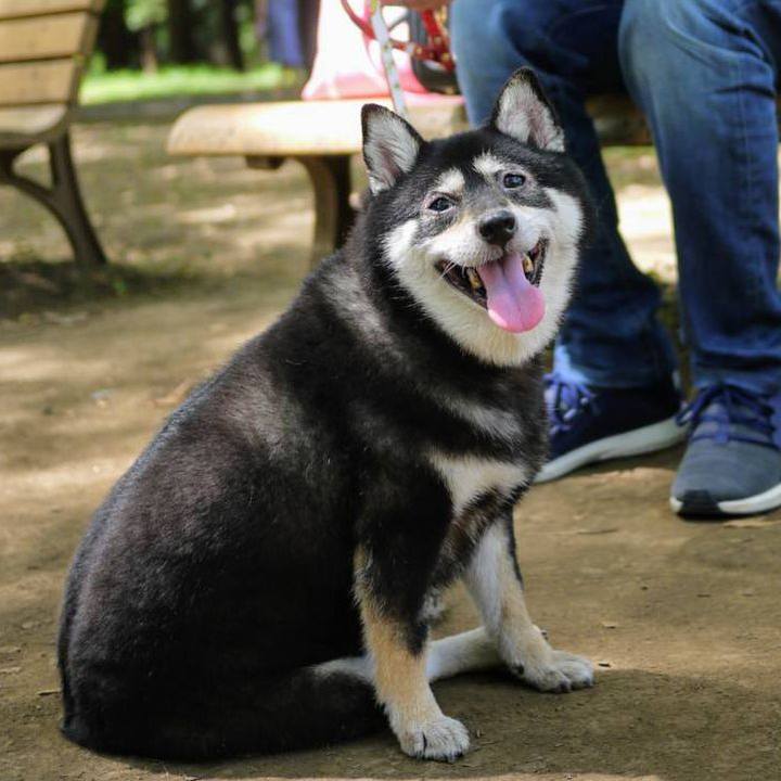 632d33f3 3423 4003 b224 7bdd5b3f14ac 1598882627579