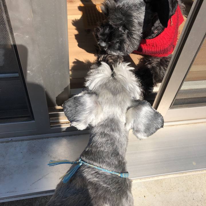 632d501b 3cf3 4723 a45d 45fa1e4fd4f0 1550366631061