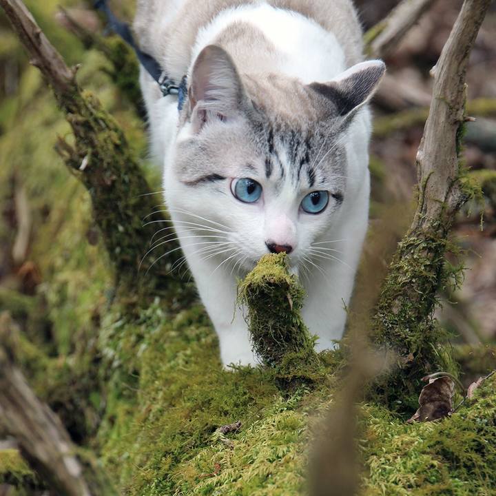 632d7418 eb36 4eda 965c bafb9ef1a1ce 1620259930461