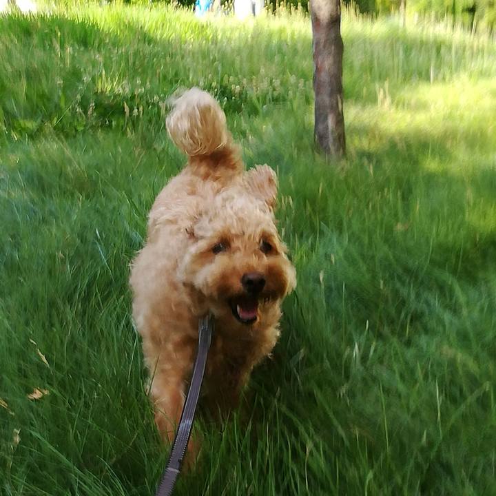 632da021 fa31 4170 aaf7 55bcfbb19f7b 1532469798635