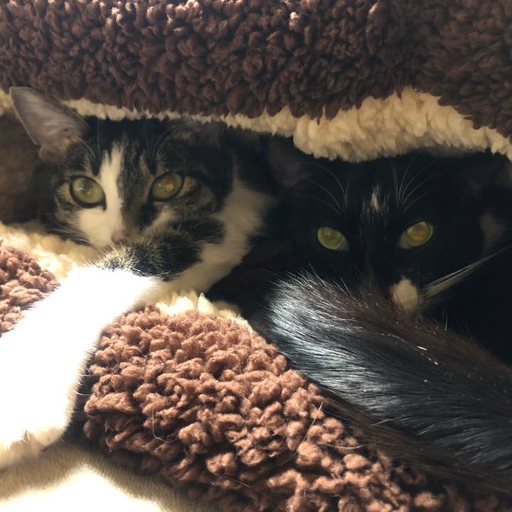 632da353 2f4d 4aa4 b71a 0ad2f388dbc1 1608643656175