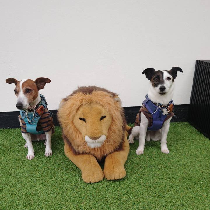 632df092 d8d0 4135 b6e8 41add5e67351 1745909667892