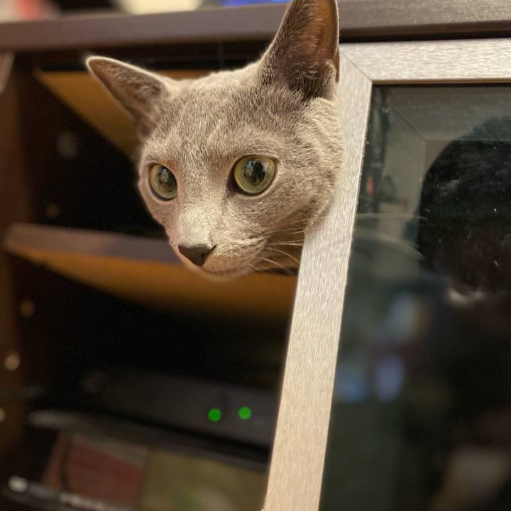 632e2c50 7dc7 43fd 8b18 f8c1aaf6759e 1646640745971