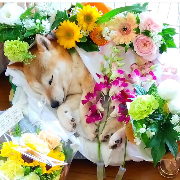 632e6351 0b15 4af7 9f2e 7684fea51ae8 1749031893499