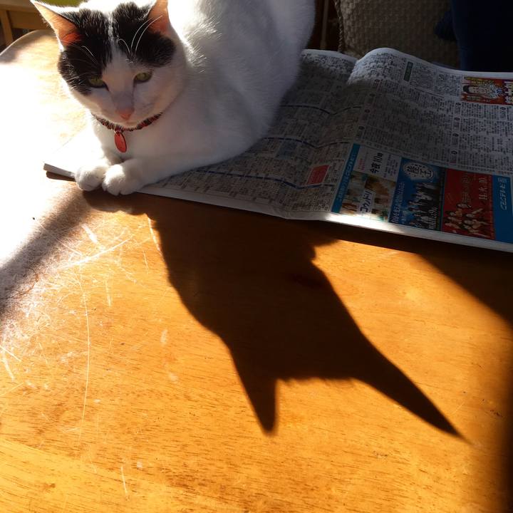 632e6ec4 000b 437b 874a f501f0af45d4 1510300238926