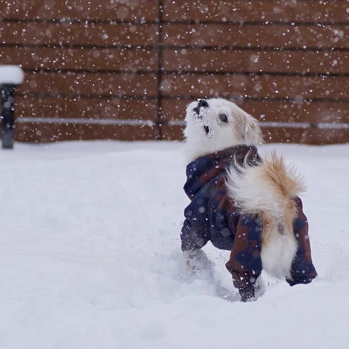 632e96e2 5ded 4cd4 9666 055d717bcced 1767256011647