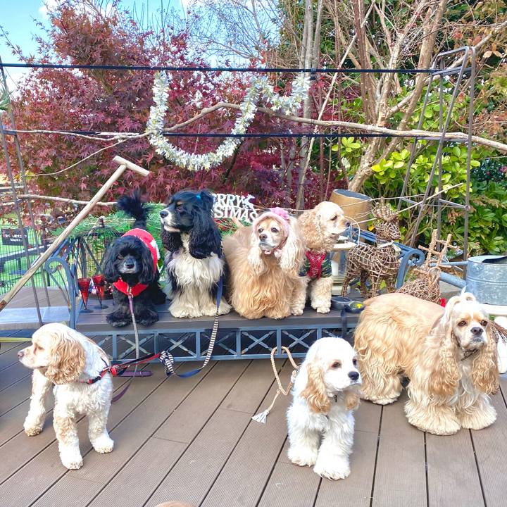 632ea251 970d 4956 8b6b 3c50a30704d9 1701927386391