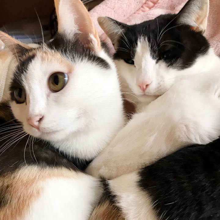 632ea815 540c 49f4 aedd e07d1fcc3ae7 1511965730257