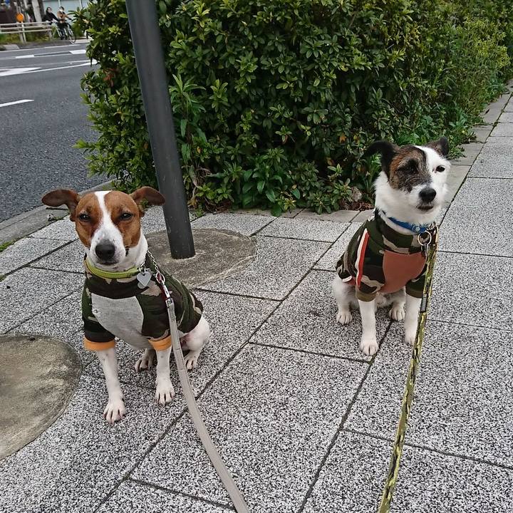 632eab1e 0ff7 4bcf b9e0 839778377d7d 1585263308272