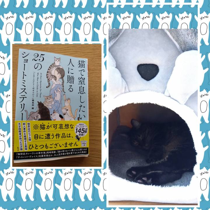 632eb13a 65ba 4928 ae57 d6c70c70f230 1759651357545