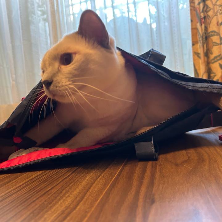 632efe5c dd9f 4c81 b0a4 e9c4b3f998cc 1736127971498