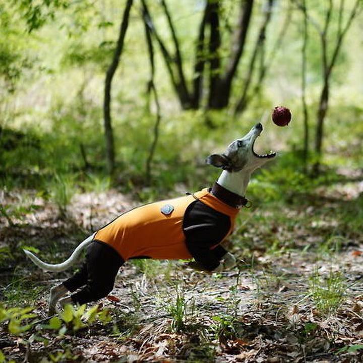 632efe68 f8db 47e2 a6bb 426718534081 1527852359970