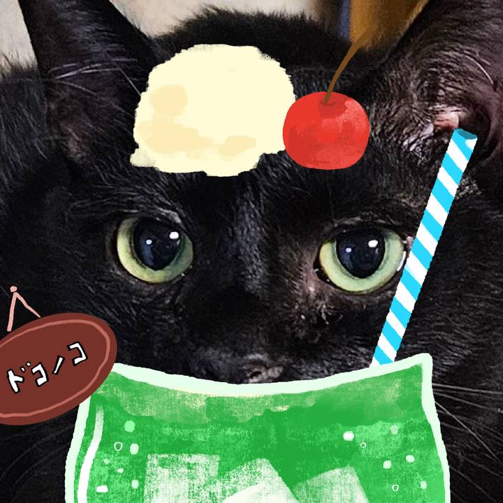 632f3986 e223 43cf 9a98 72ec35135c6b 1755084406119