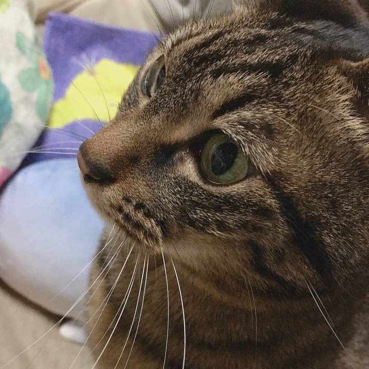 632f47fb fde9 41f5 976b b07fec041ad5 1589807296490