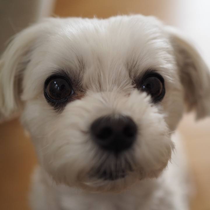 632f6d08 f4eb 4f51 848d 653a065c136d 1588128180080