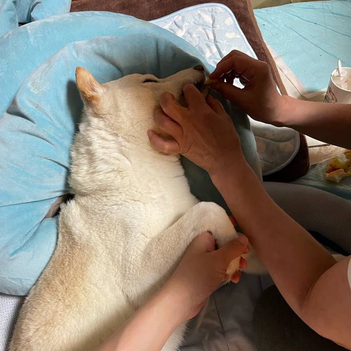 632fa113 e3c9 4948 92b5 cc94e49acca5 1657787531146