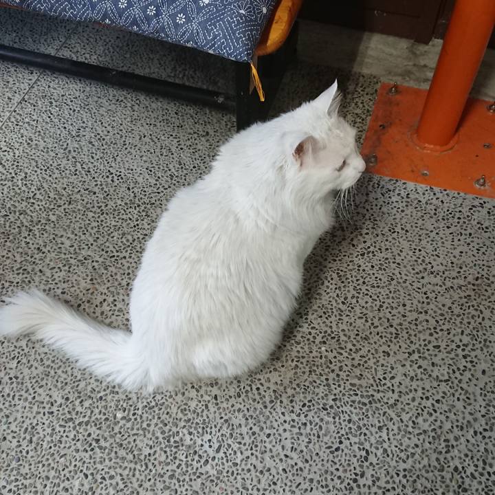 632fd900 3607 44b9 9f3d e2dc2bb191fb 1551825447854