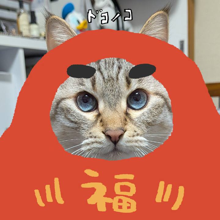 63303807 aafa 487f a506 ce3ed5434ffa 1772448133927