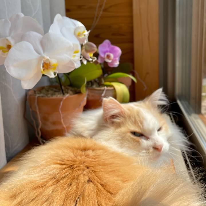 63306b18 e8e6 44fe af30 653b28f09d0c 1680552235333