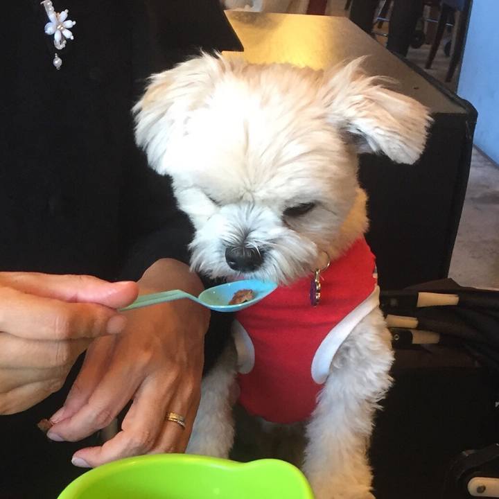 63307bd9 018a 4377 a8e8 f9b58824d2d7 1512216106542