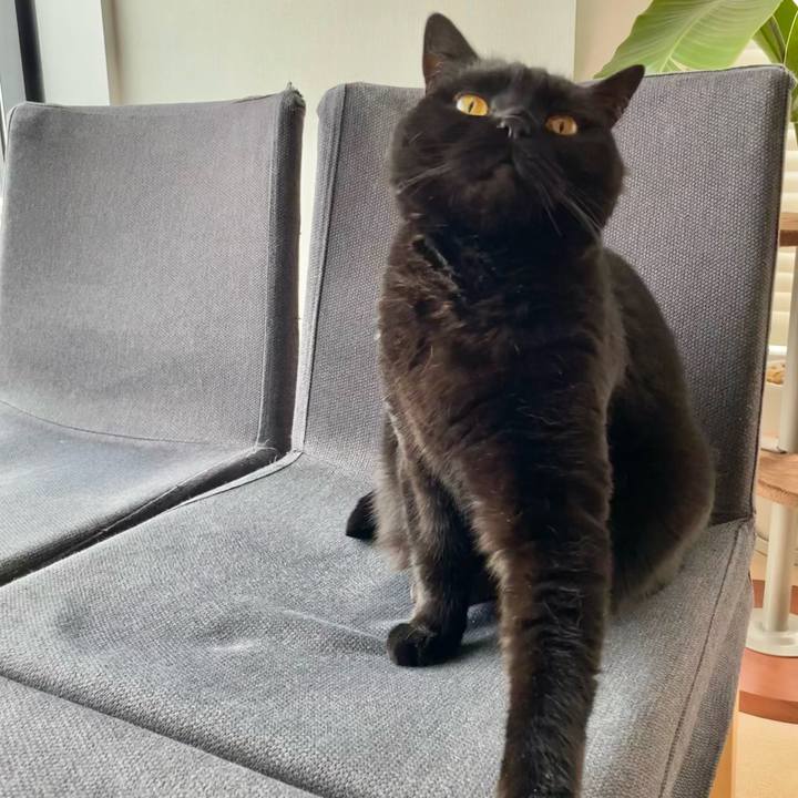 6330ca90 494b 4d50 969b e467e0759a0f 1621326048273