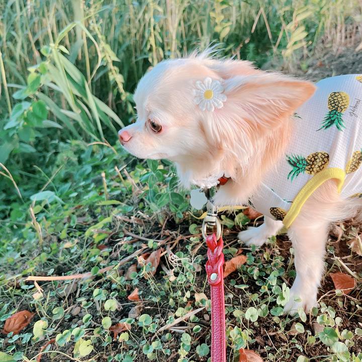 63317fcd 8fa2 4c9d ac84 7f659c9b360a 1657192246978