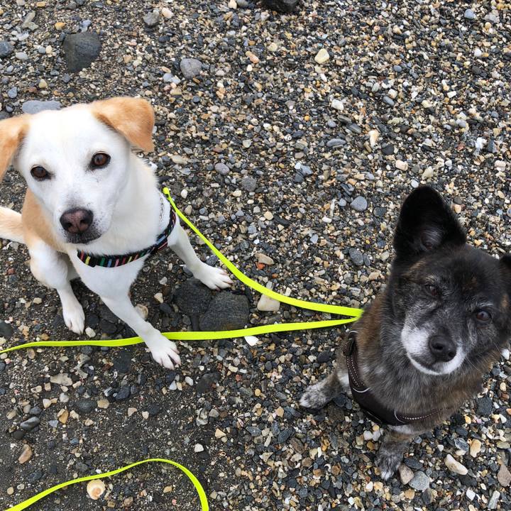 6331a2a1 79a9 4519 9ad0 3ecf13f14ea6 1627472803613