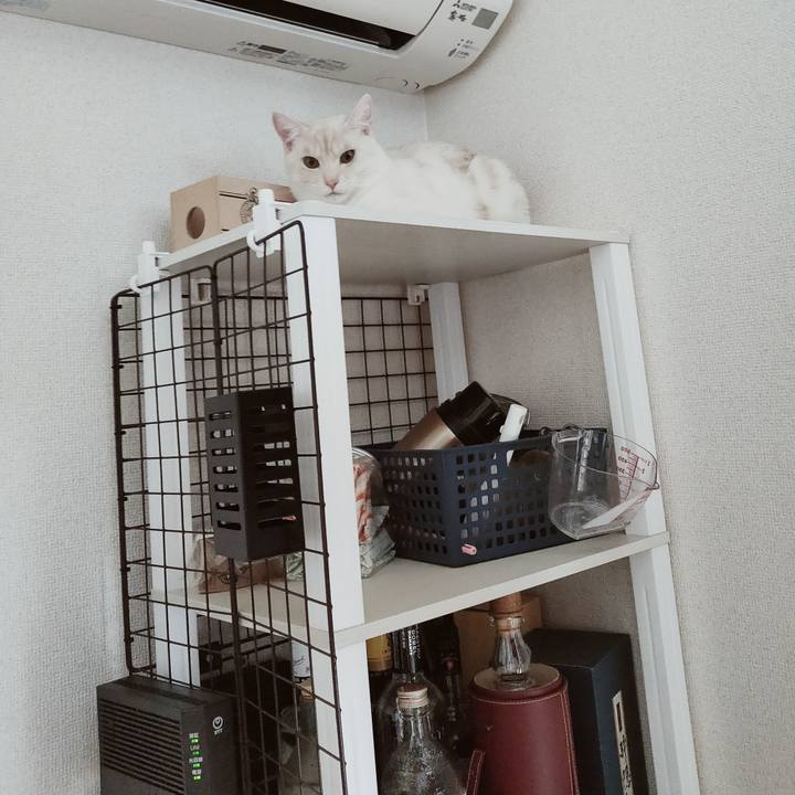 6331ac59 be0a 4a8b a0e2 522e5e463756 1642477129682