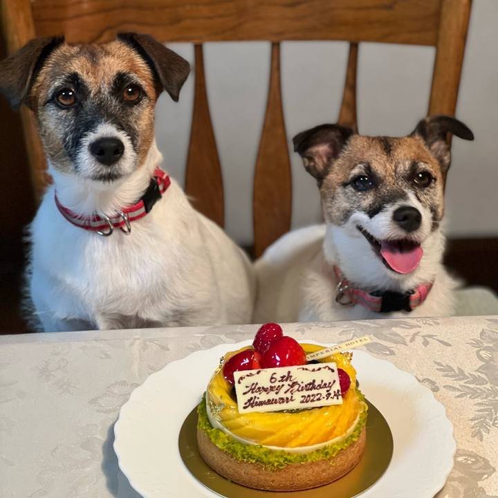 6331e130 ce40 4a95 bf50 a61e66c0548c 1663155822072