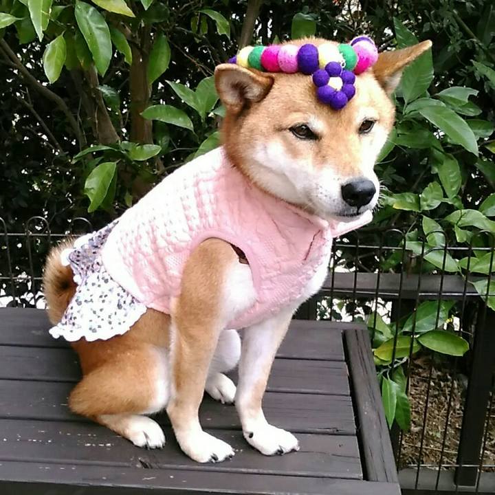 63322f1c b863 4459 a913 037bd256954a 1542170383092