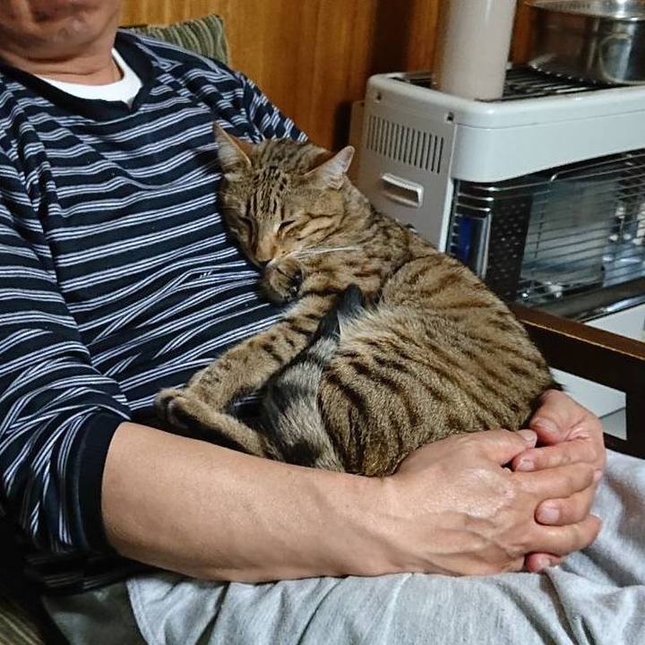 63323716 2c8b 4d79 842f 0bde4e2e9908 1615984071909