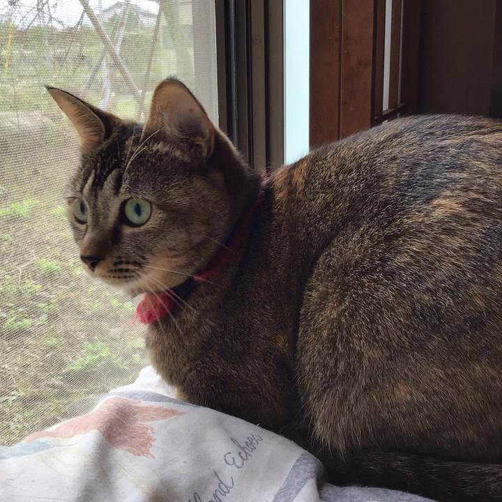 63323fea 2282 4da1 8e18 adbf2f75b079 1603769183416