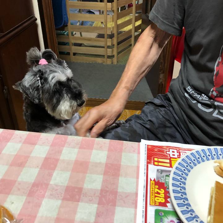 633269ef 2a7e 4011 9092 5a01f3380462 1663910691703