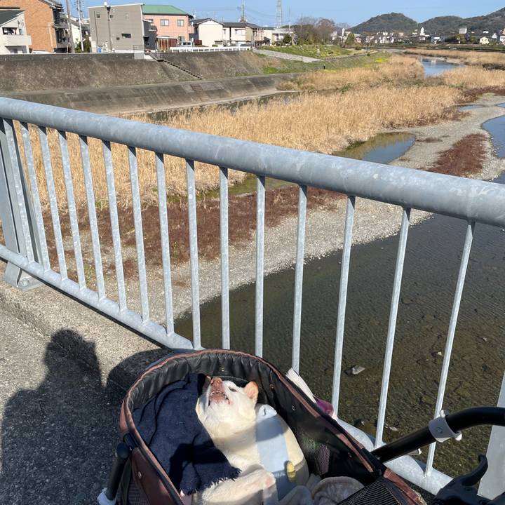 63327cf5 01bf 47d8 8d7b 29f73b770ae6 1678794306205