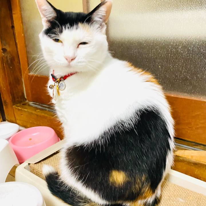 63328cfa 839a 4d58 abde 245a728d49f4 1720045006380