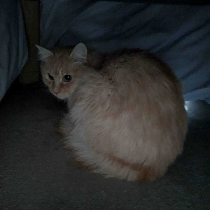 63329448 6f9f 461b a9d5 7fd402fc3cb1 1770517951626