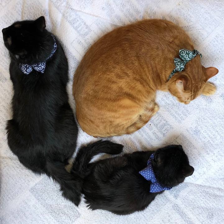 63329c9b bf59 4089 b340 bf0827aee41e 1555727768461