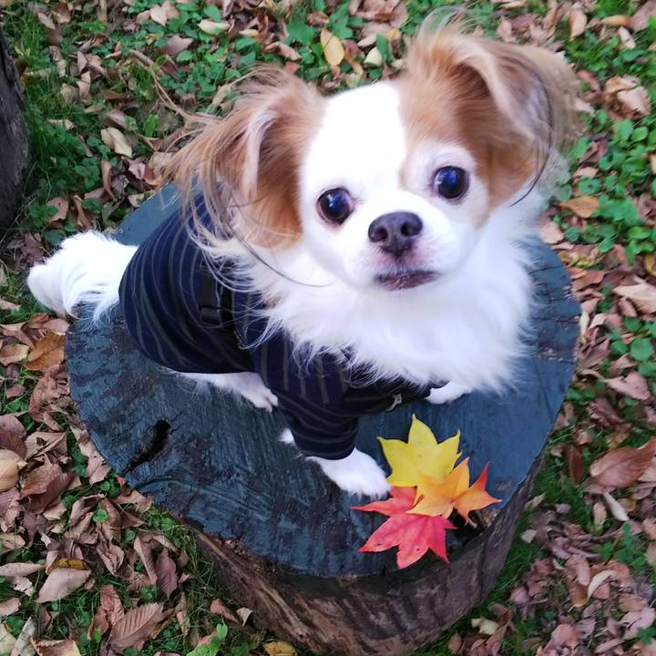 6332c7e5 57dd 425e ae80 743fff364ff1 1508570058556