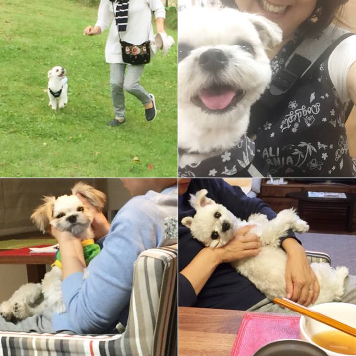 6332cb10 83a3 403a 8a54 d45cafb9fc8a 1524054045536