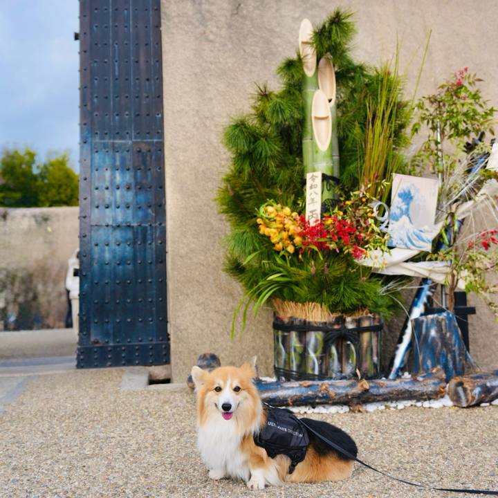 63331551 1432 48ca 9d12 e21585baea3d 1767448664198