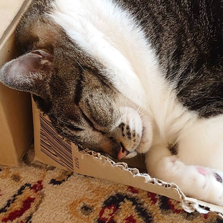 633337ce 4181 42a1 8cde 84f6baf817f2 1594944518311