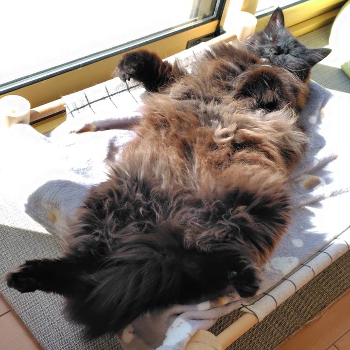 63333e94 a18f 4b22 a610 d9a36def726a 1773450457931