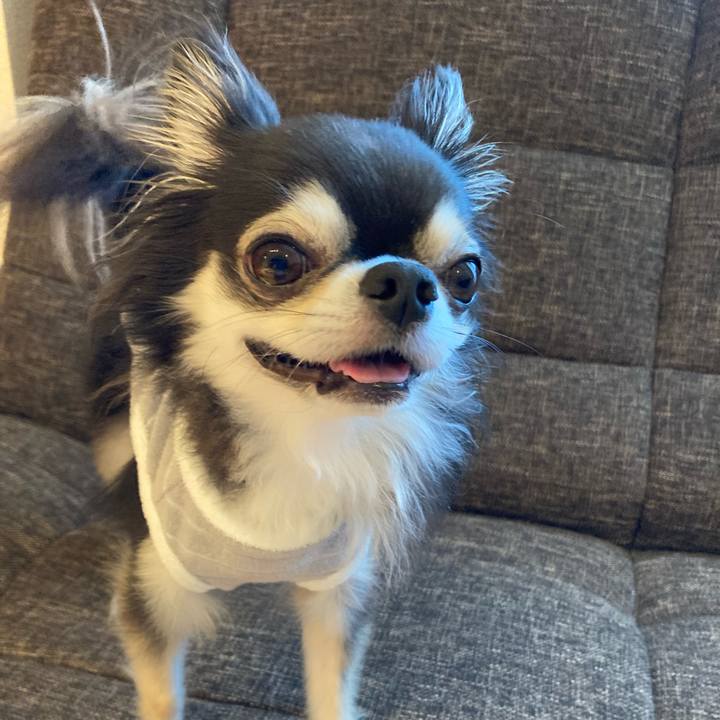 6333497c e6c7 4d47 a179 eb68f6941888 1714733639491