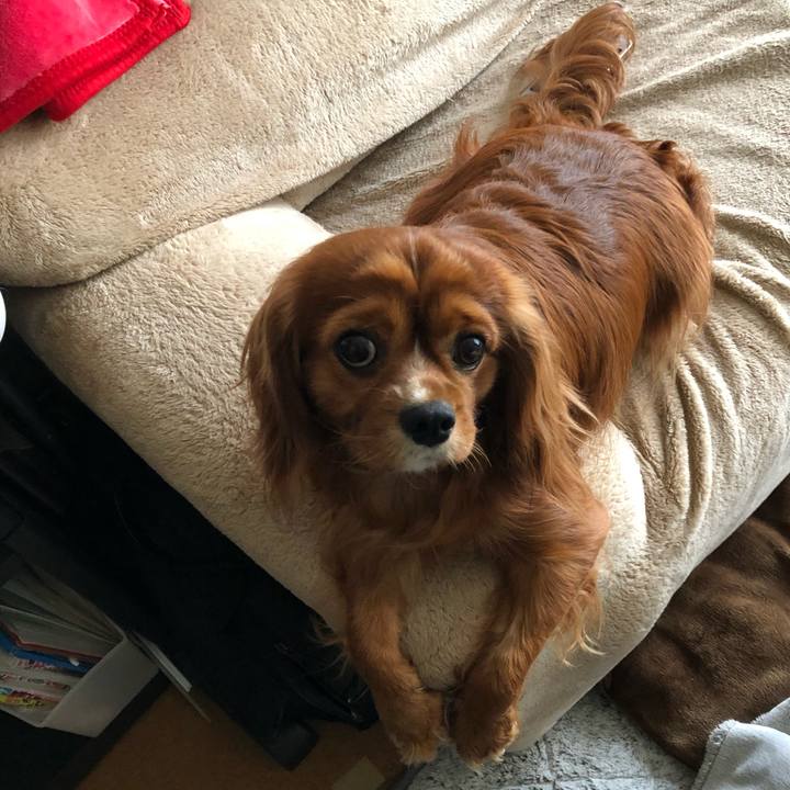 63335b4e 59c1 4d3f bb73 b644b70b5e8c 1587175796744