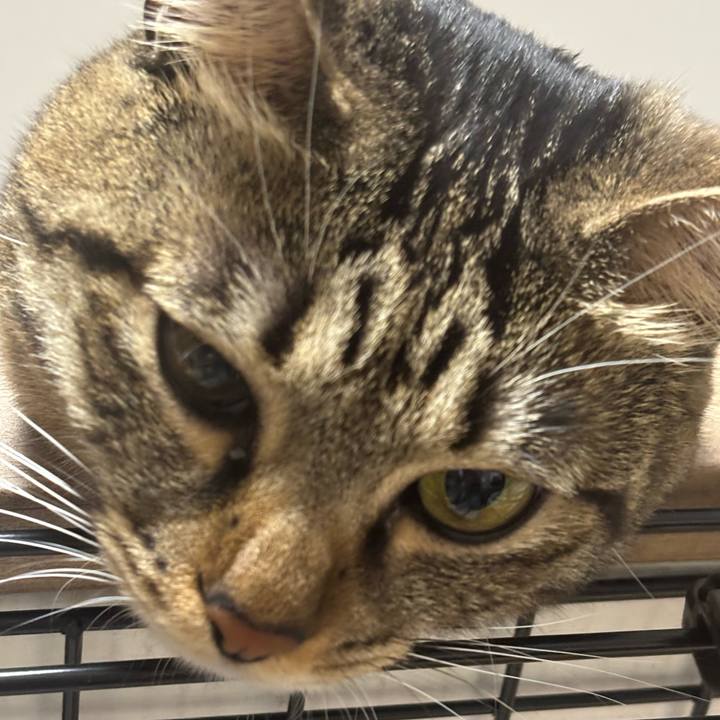 633380f7 27d5 4651 902f ba1298ab3d27 1763775468996