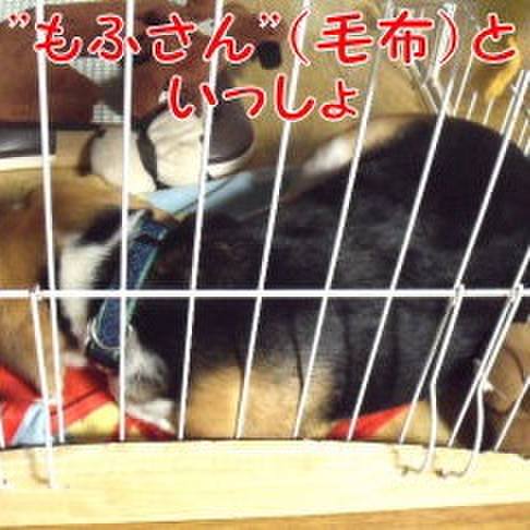 6333a66e 5e5c 4bb8 9366 3a4e56b0bce5 1695514446790