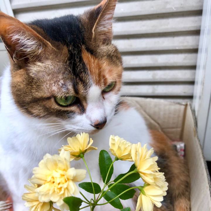 6333ae10 5e2d 4084 9981 84d5ecf6e6d7 1557026028674